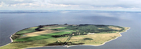 livo-banner - Livø
